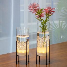 Vase Set for Flowers Plants, Clear Vase with Black Stand, Modern Decorative with Timer LED Lights Battery Operated,(Set of 2)